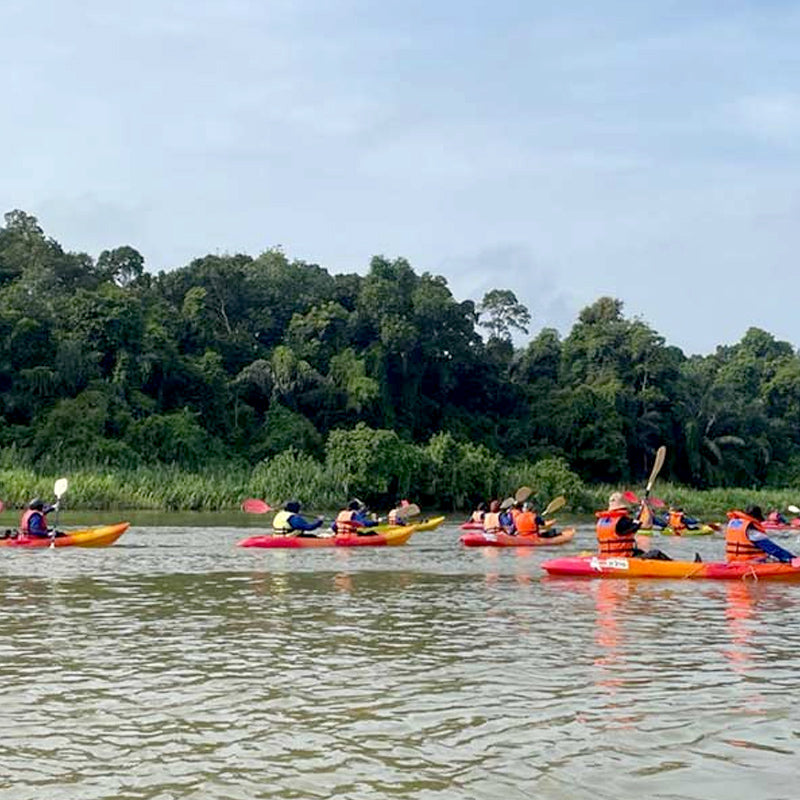 Chalet Gandul - Resort D'Rumah Bonda Riverview Kuala Kangsar