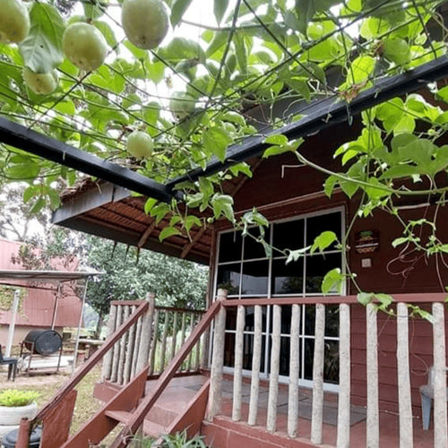 Chalet Gandul - Resort D'Rumah Bonda Riverview Kuala Kangsar