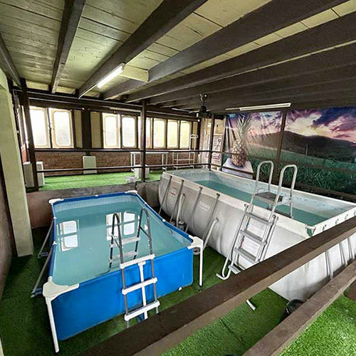 Chalet Gandul - Resort D'Rumah Bonda Riverview Kuala Kangsar