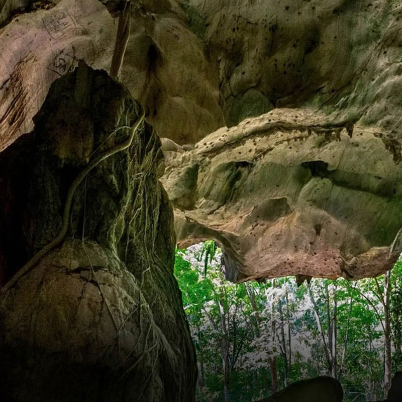 Harimau Cave, Lenggong