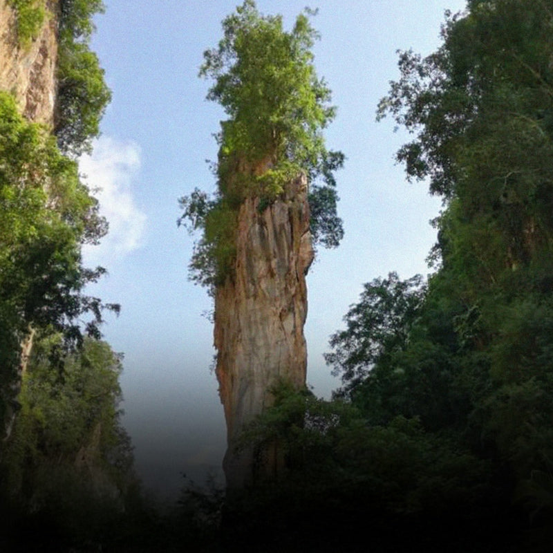 The Needle of Tambun