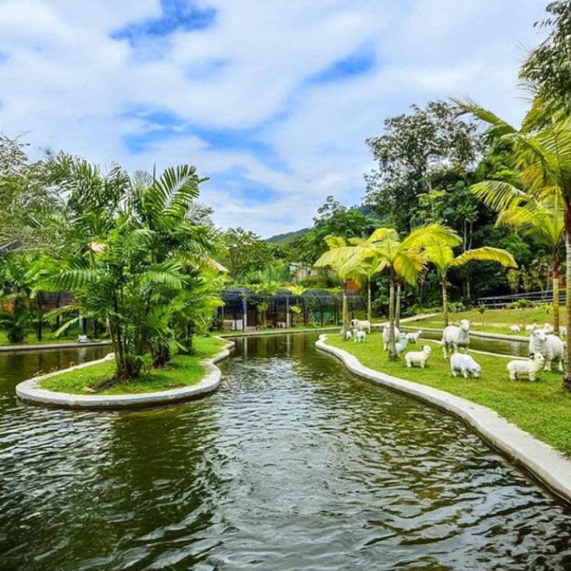 ReFarm Leisure Park & Resort, Temoh