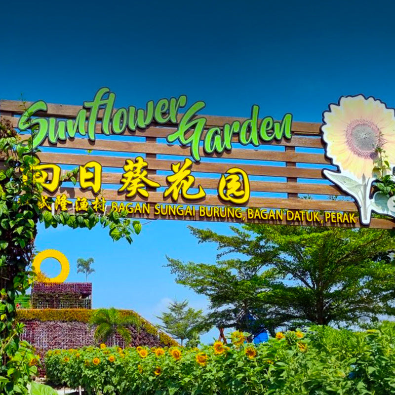 Sunflower Garden, Bagan Datuk