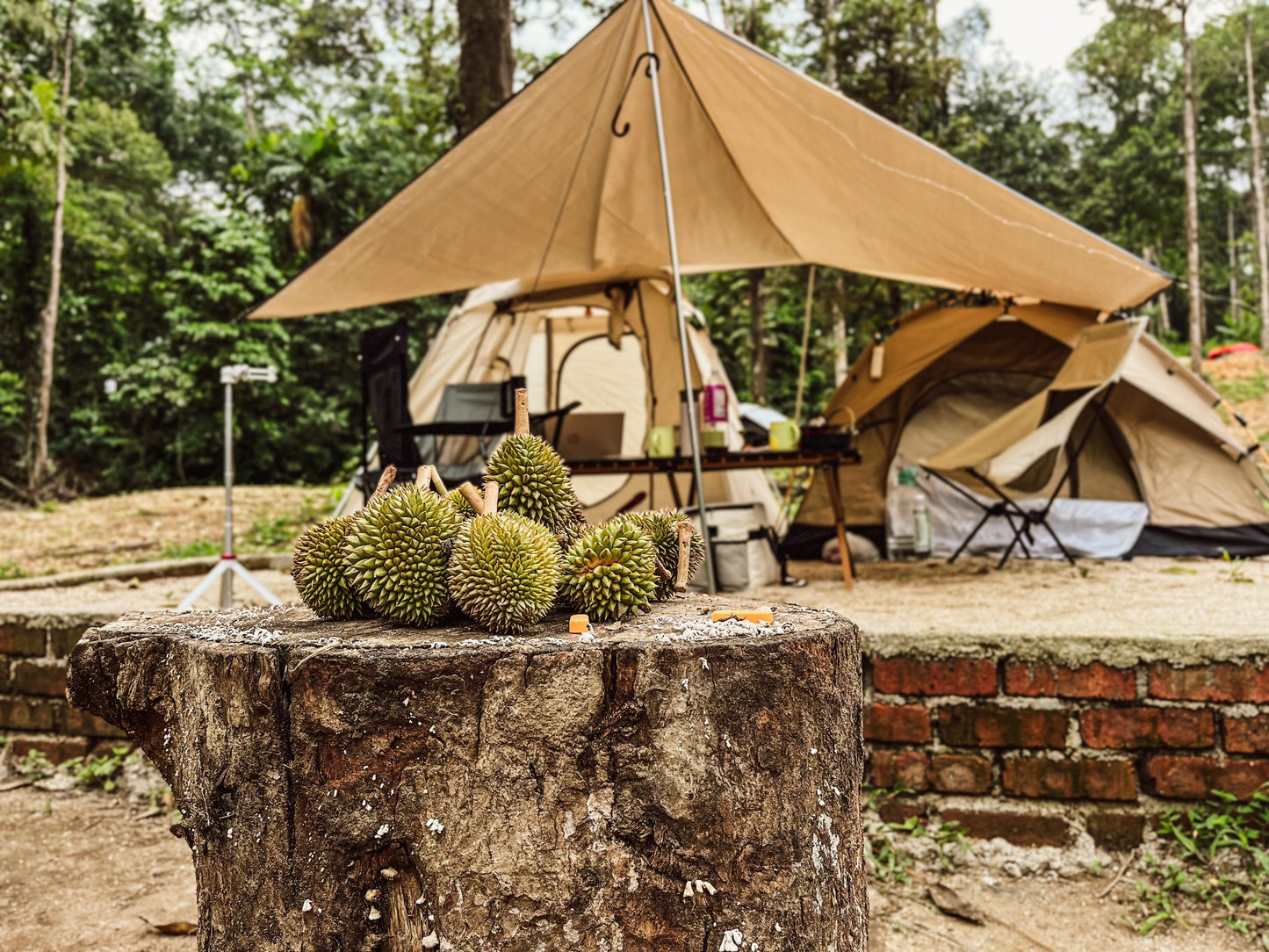 Durian Camping - 7 Beret Campsite - Jumantara Synergy