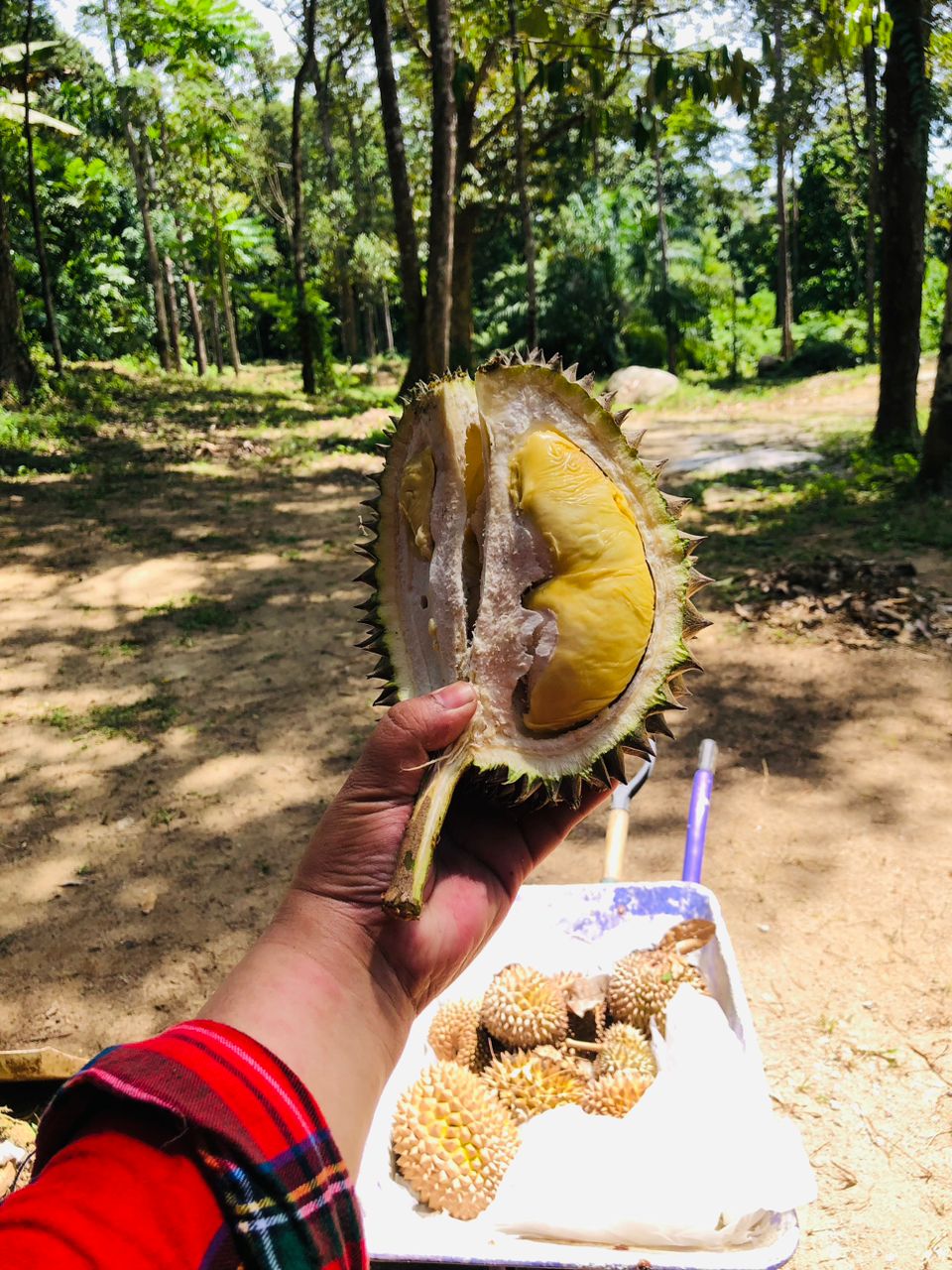 Durian Camping - 7 Beret Campsite - Jumantara Synergy