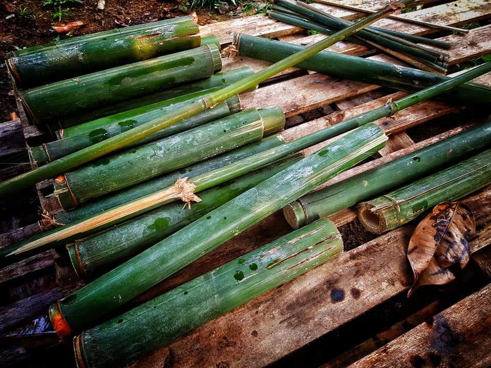 Farm To Table Survival Cooking - Cemerlang Tani (1 Pax)