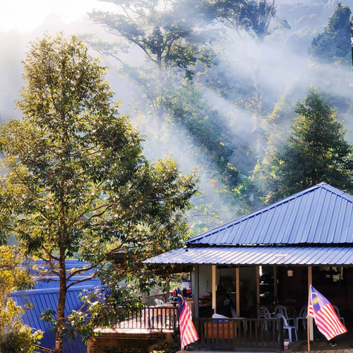 Amazing Camp Legacy, Lenggong