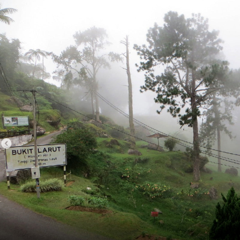 Larut Hill @ Maxwell Hill, Taiping
