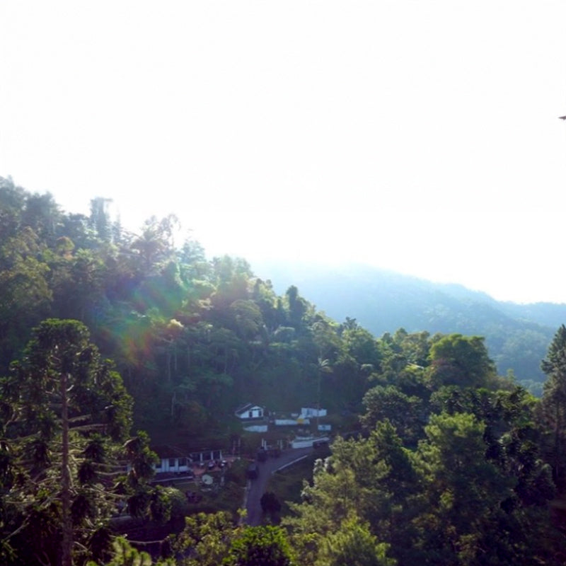 Larut Hill @ Maxwell Hill, Taiping