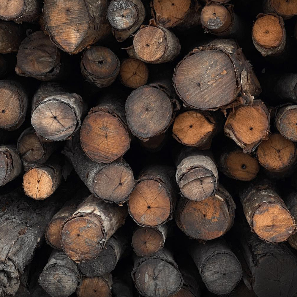 Charcoal Factory Kuala Sepetang