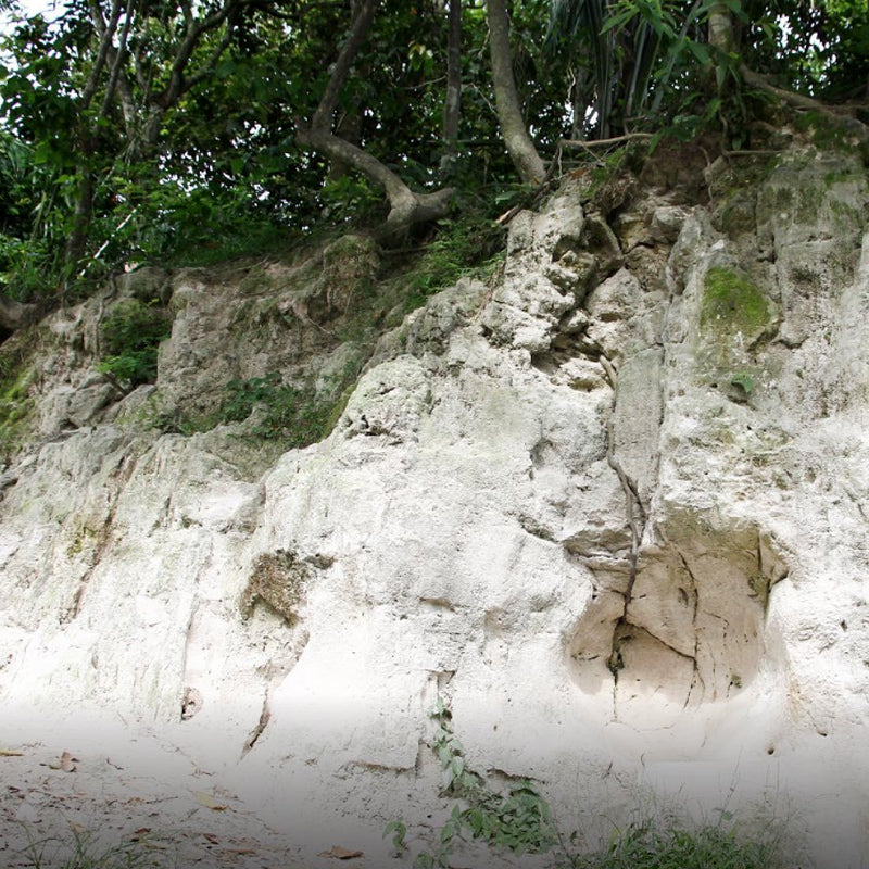 Toba Volcanic Ash, Bukit Sapi