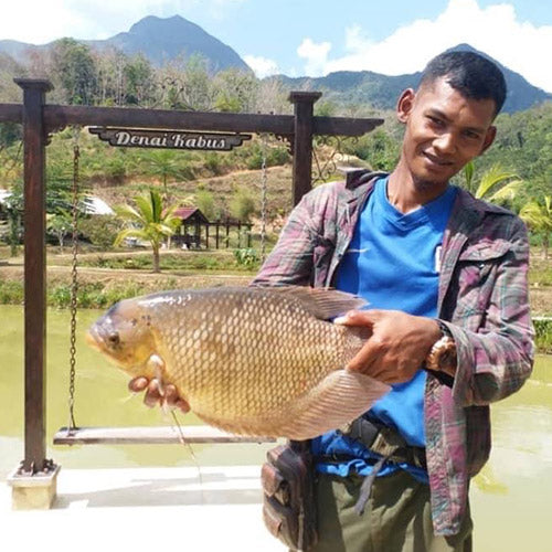 ATV Agro Tour - Denai Kabus