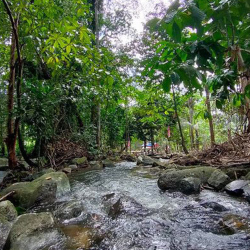 Pangkin DAYTRIP - Amazing Camp Legacy (DAYTRIP)