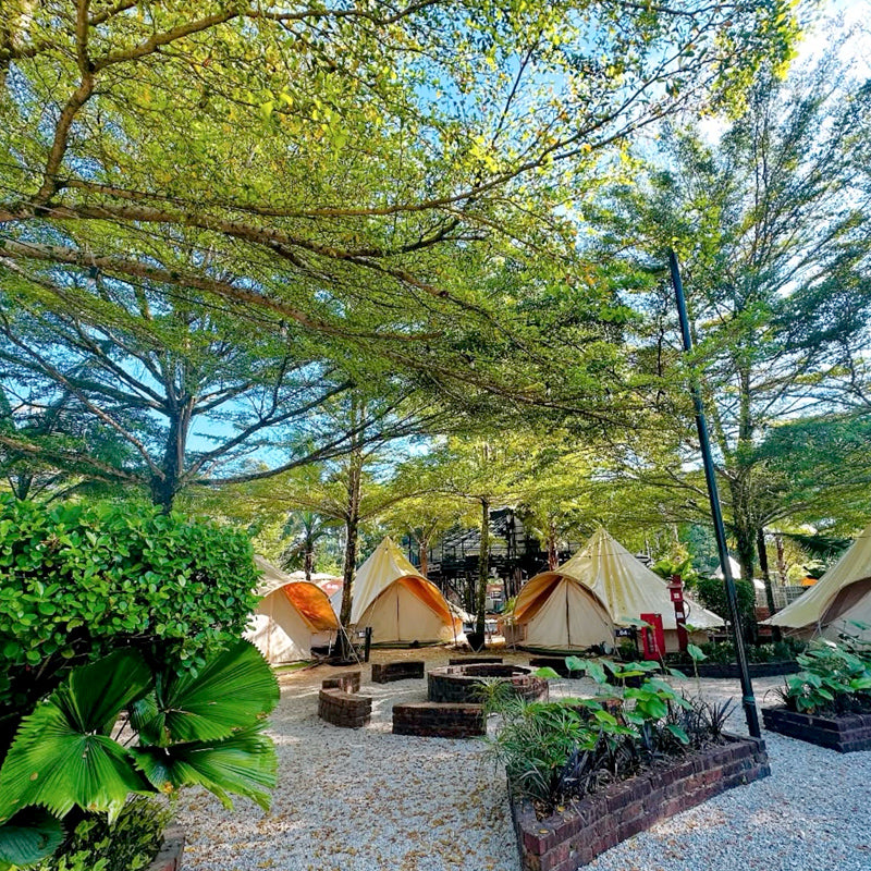 gopeng tree tent Gopeng Glamping Park – EcoDoor