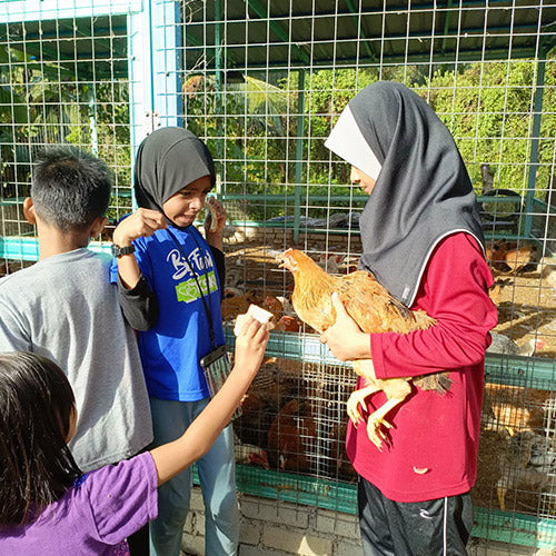 Kembara Adik ke Kebun Rahsia - Cemerlang Tani (1 Pax)