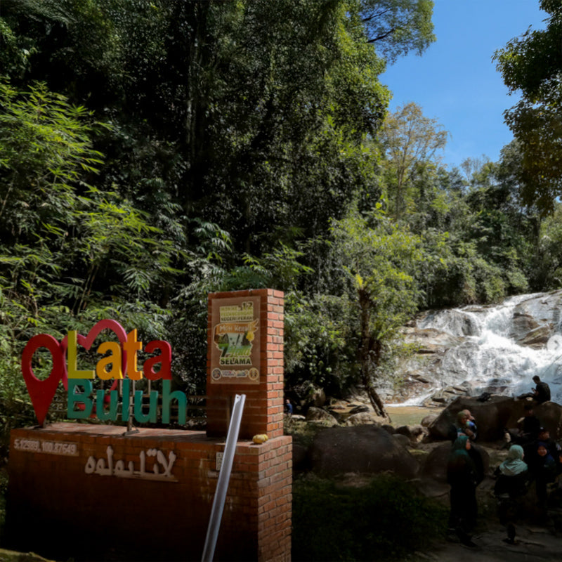Lata Buluh, Selama