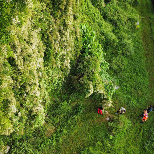 Rock Climbing (OWN EQUIPMENT) - Masoorat Heritage Park (min 2 pax)