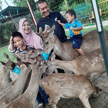 Taman Rusa dan Kelulut Lenggong - Rumah Ayah An Rusa dan Kelulut Lenggong (1 KID)