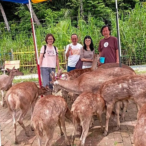 Taman Rusa dan Kelulut Lenggong - Rumah Ayah An Rusa dan Kelulut Lenggong (1 ADULT)