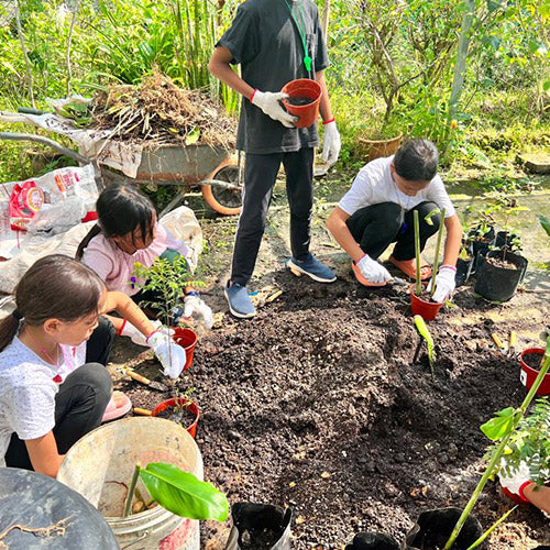 Summer Camp - Treasure@Taman Herba Gopeng (2D1N 1 Pax)