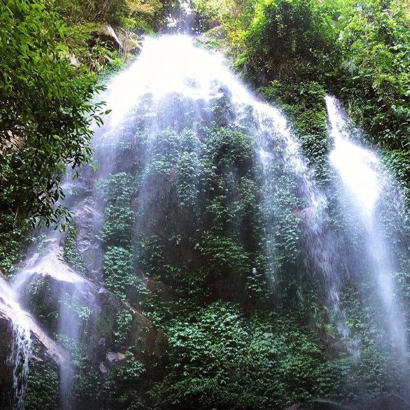 Sungai Kooi Waterfall, Royal Belum