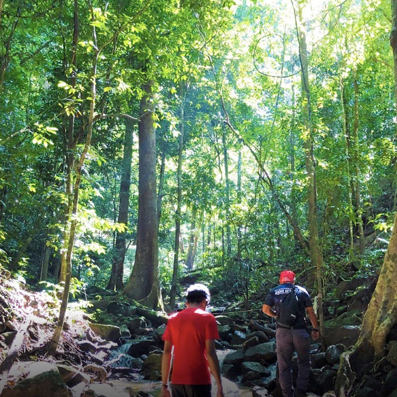 Sungai Kooi Waterfall, Royal Belum