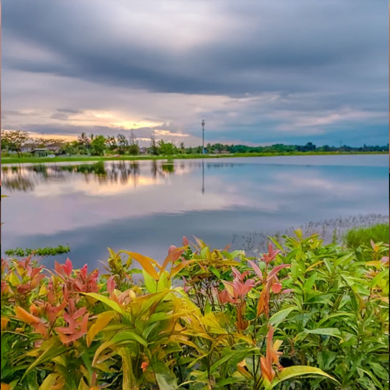 Temoh Lake Park, Chenderiang – EcoDoor