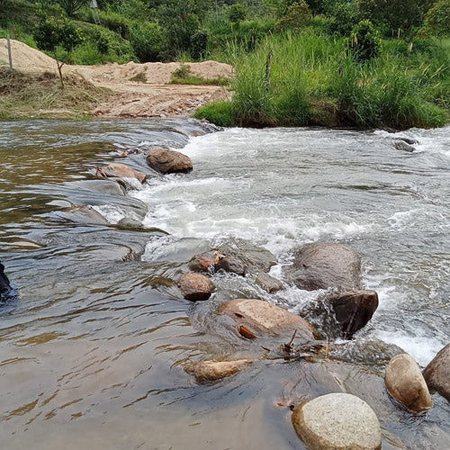 ATV Santai - Ulu Piah Eco Farm Resort (1 Pax 1 Hour)