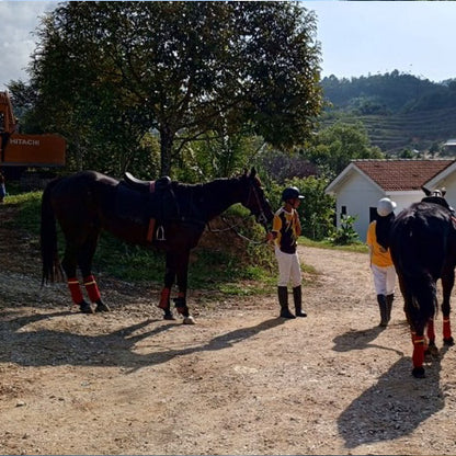 Horseback Ride - Ulu Piah Eco Farm Resort (1 Pax 1 Hour)