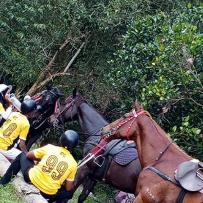 Horseback Ride - Ulu Piah Eco Farm Resort (1 Pax 1 Hour)