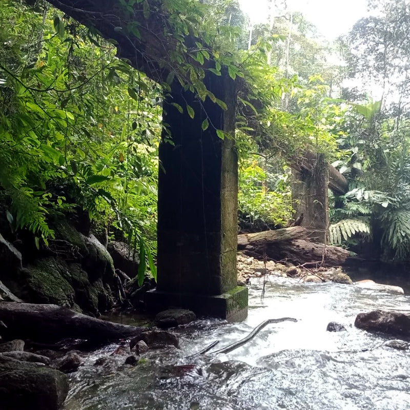 Aboriginal Culture Experience (Min 4 pax) - Ventrex Outdoor & Recreation