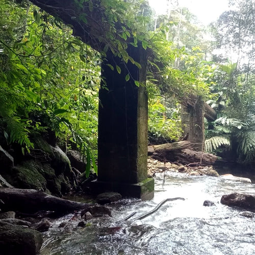 Aboriginal Culture Experience (Min 4 pax) - Ventrex Outdoor & Recreation