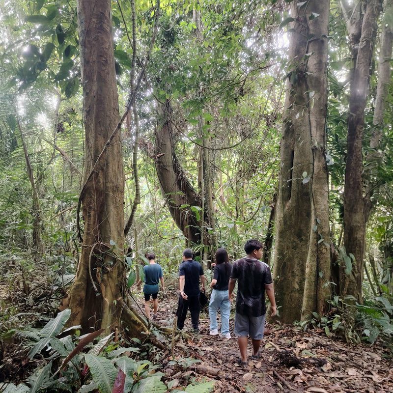 Rafflesia Tour (Min 2 Pax) - Ventrex Outdoor & Recreation