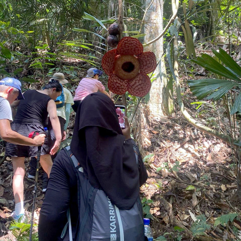 Rafflesia Tour (Min 2 Pax) - Ventrex Outdoor & Recreation