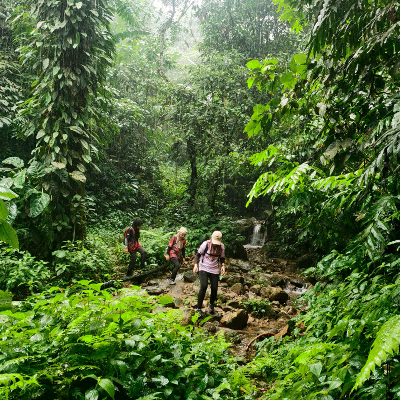 Rafflesia Tour (Min 2 Pax) - Ventrex Outdoor & Recreation