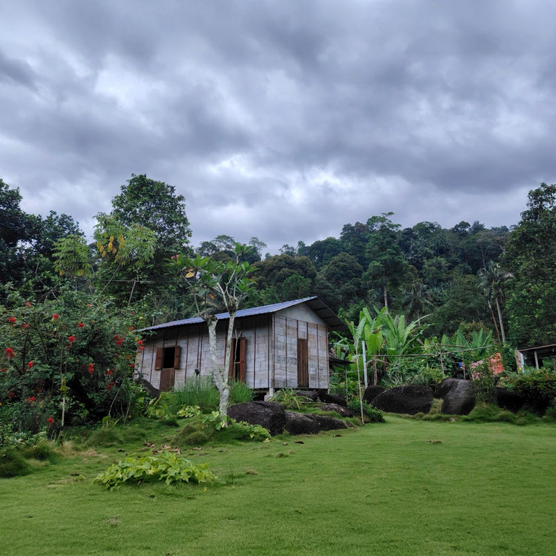 Rafflesia Tour (Min 2 Pax) - Ventrex Outdoor & Recreation