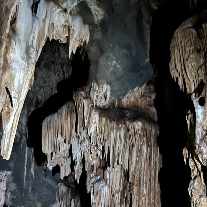 Explore Hidden Gems Sg Siput (Min 2 Pax) - Ventrex Outdoor & Recreation