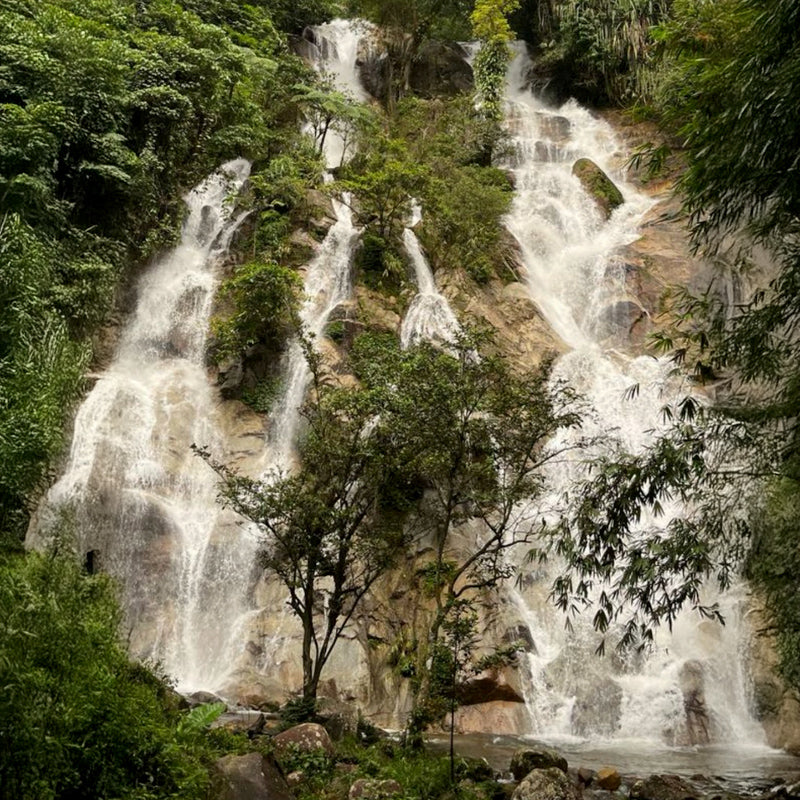 Explore Hidden Gems Sg Siput (Min 2 Pax) - Ventrex Outdoor & Recreation