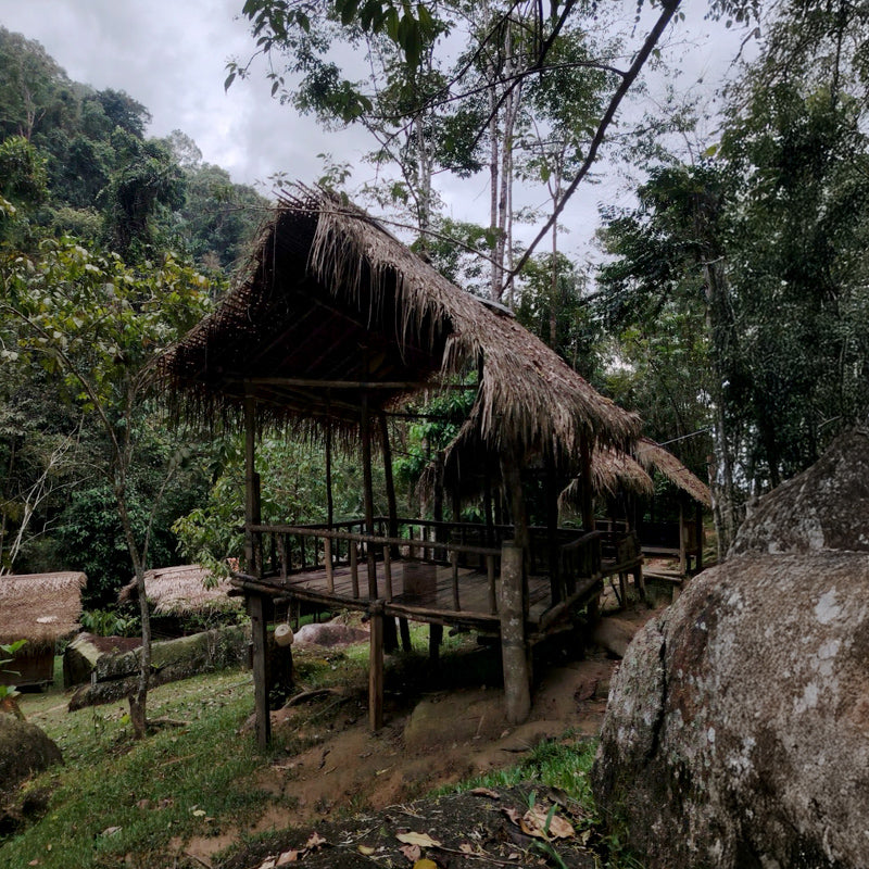 Explore Hidden Gems Sg Siput (Min 2 Pax) - Ventrex Outdoor & Recreation