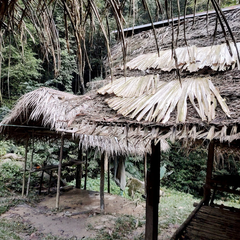 Explore Hidden Gems Sg Siput (Min 2 Pax) - Ventrex Outdoor & Recreation